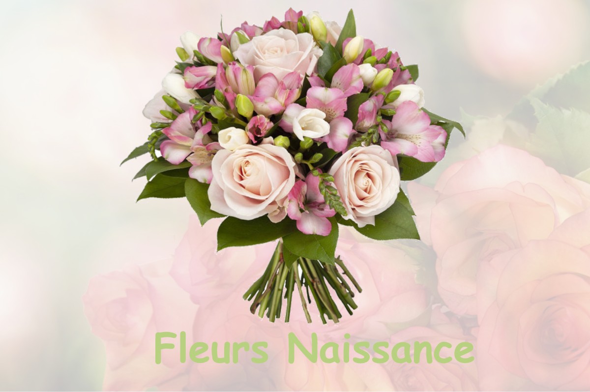 fleurs naissance AUDON