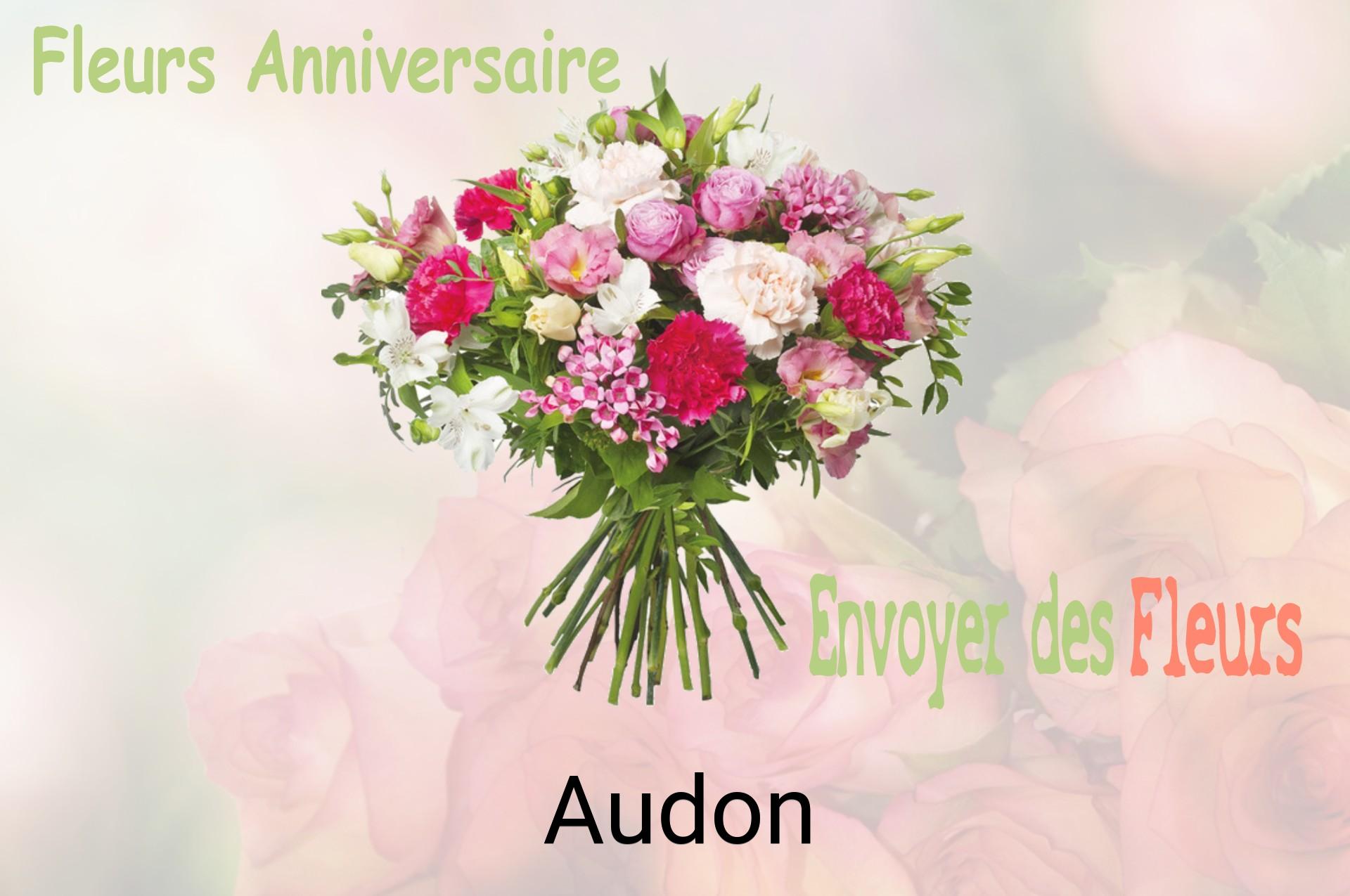 Bouquet de fleurs d’anniversaire livré à Audon