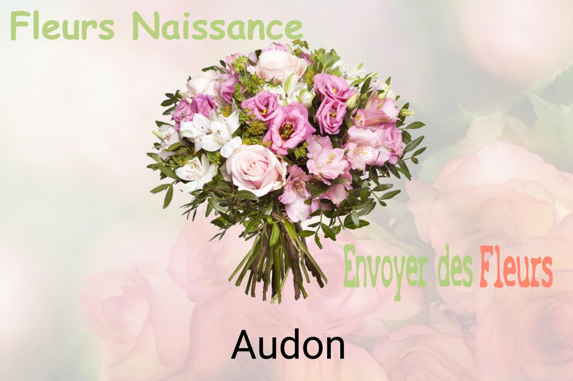 Bouquet de fleurs de naissance livré à Audon