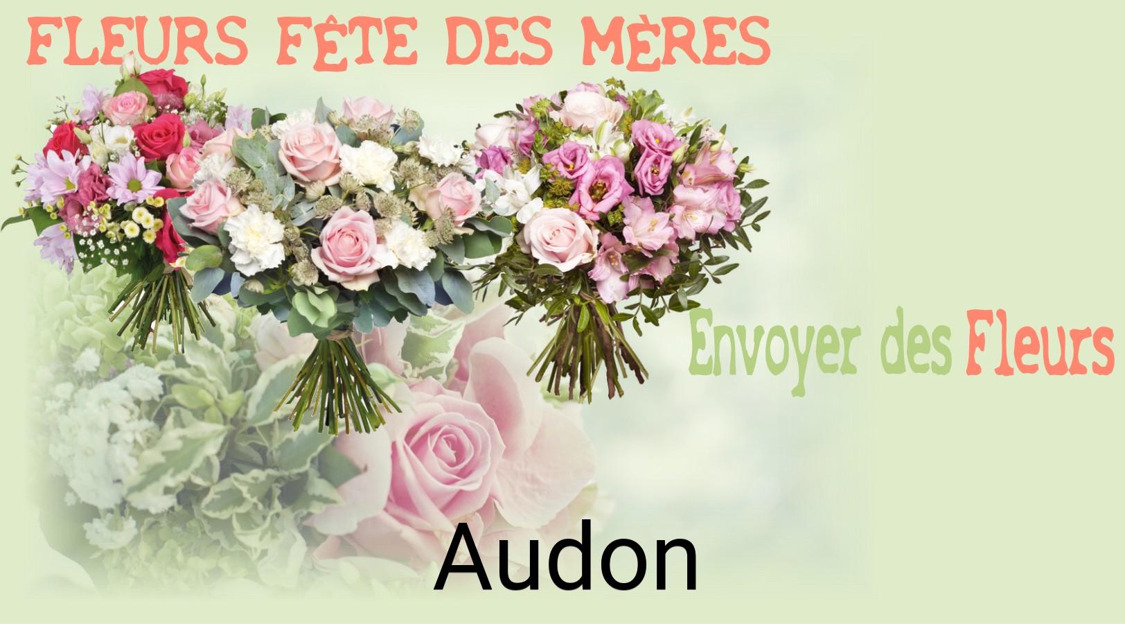 Bouquet de Fête des Mères livré à Audon