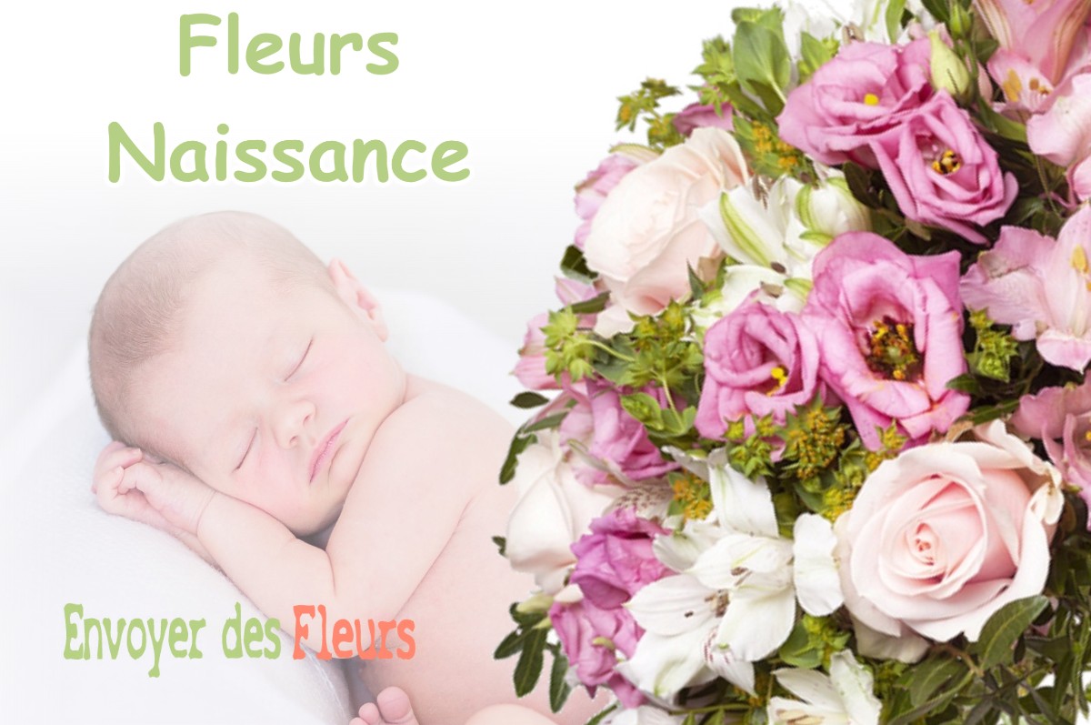 lIVRAISON FLEURS NAISSANCE à AUDON